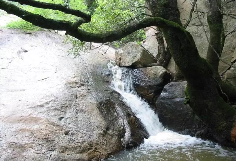 پانسیون Leaves Lodge And Spa