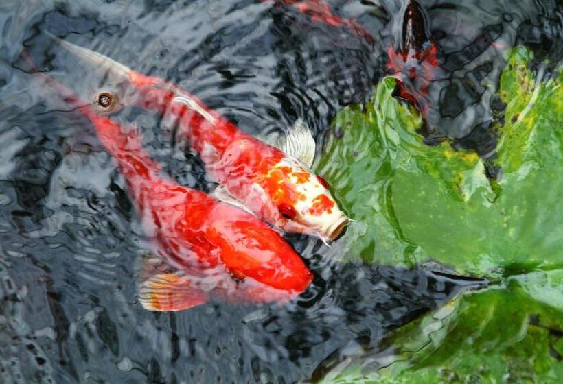 פנסיון Leaves Lodge And Spa