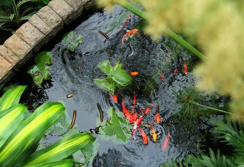 פנסיון Leaves Lodge And Spa