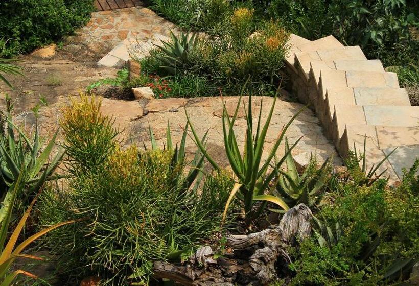 פנסיון Leaves Lodge And Spa