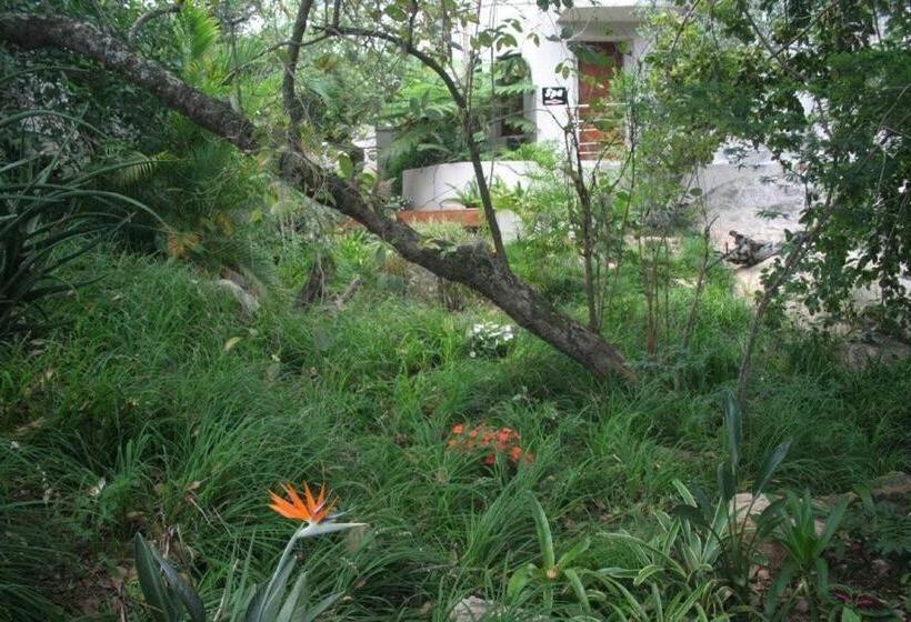 פנסיון Leaves Lodge And Spa