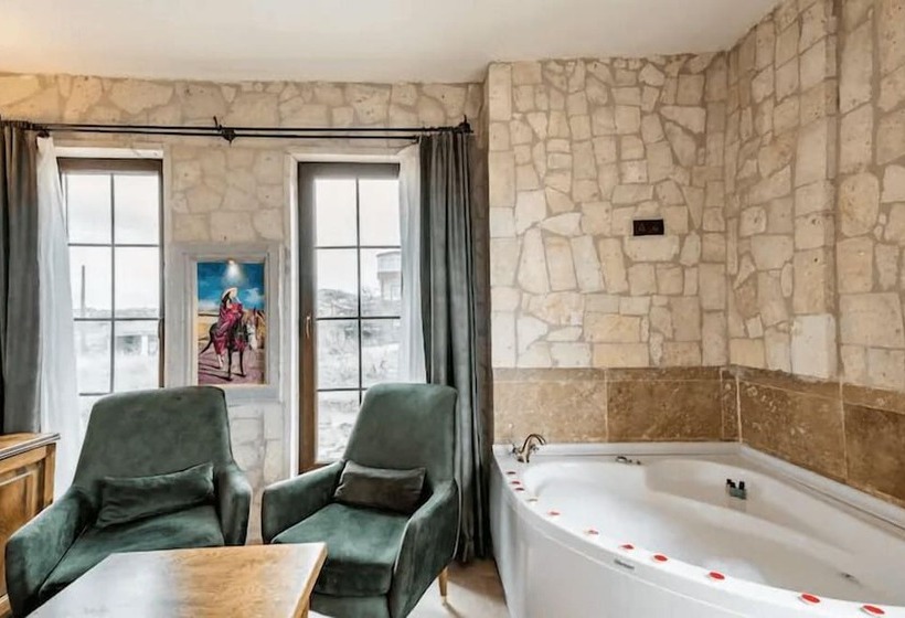 هتل Castle Panorama House