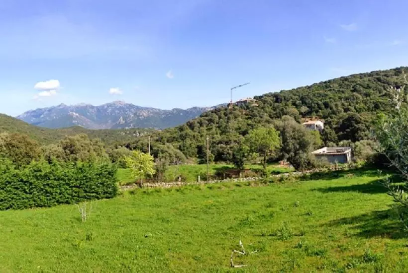 Appartement Cosy A Sartene 49 M² Avec Vue Montagne