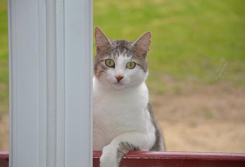 مبيت وإفطار Manoir De La Presle Ornella Et Stéphane