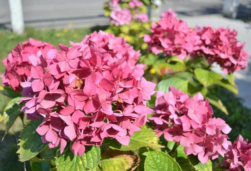 تختخواب و صبحانه Chambre D Hôtes Les Nymphéas