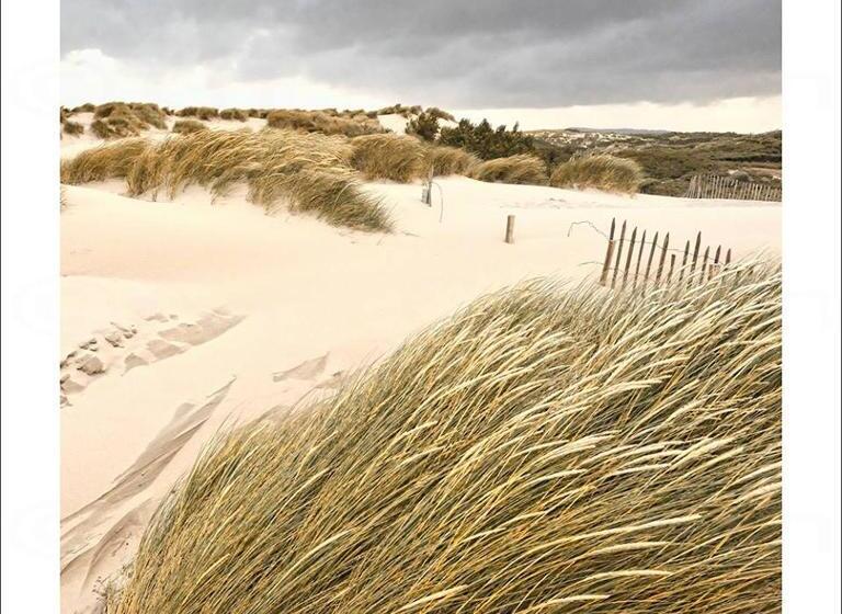 تختخواب و صبحانه Chambre D Hôtes Les Nymphéas