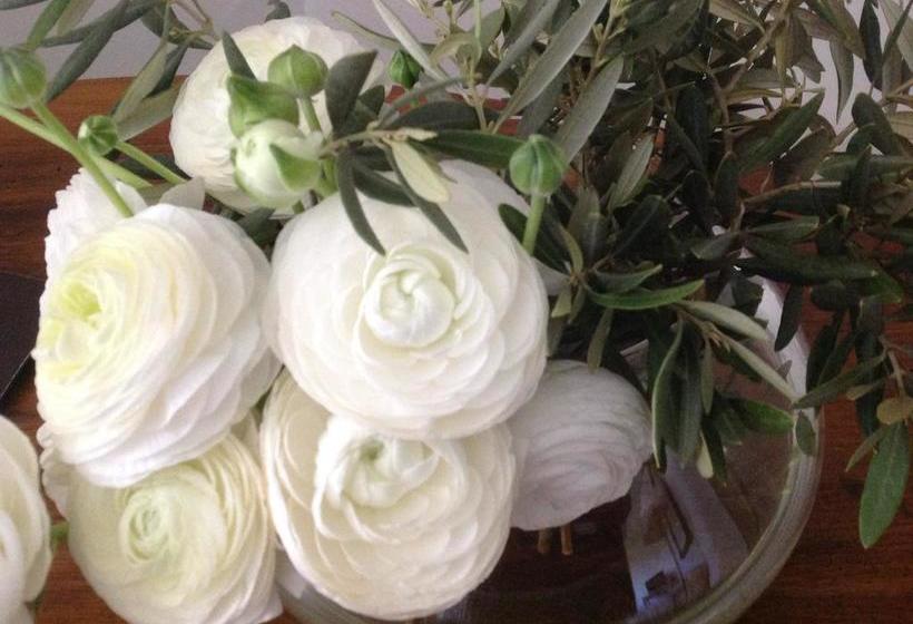 مبيت وإفطار Domaine La Carraire