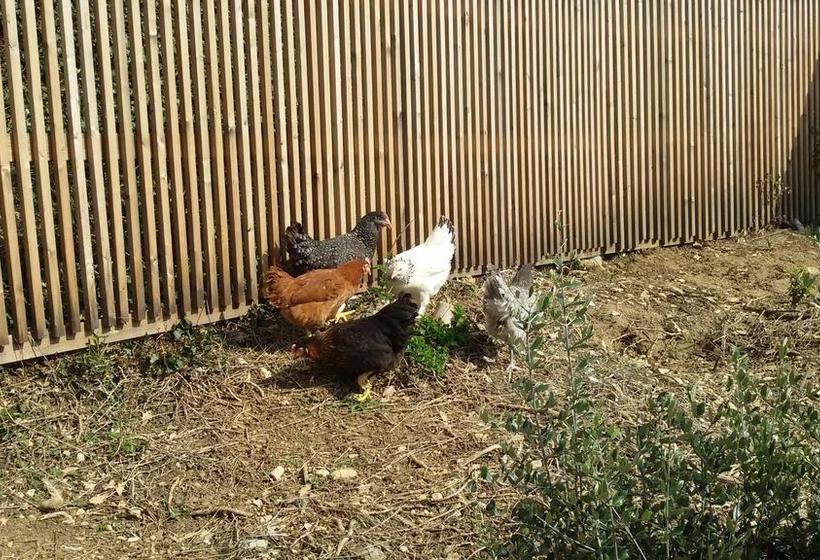 민박 Maison D Hotes "le Petit Rouvière"