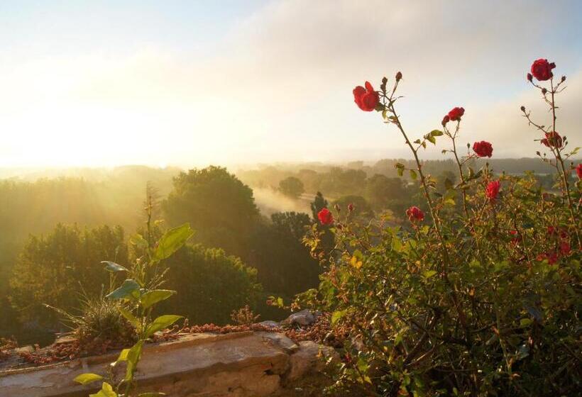 تختخواب و صبحانه Maison Orsini