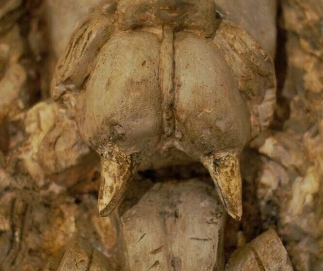 تختخواب و صبحانه Maison Orsini