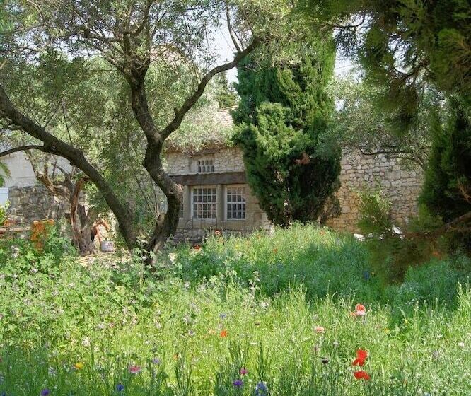 تختخواب و صبحانه Maison Orsini