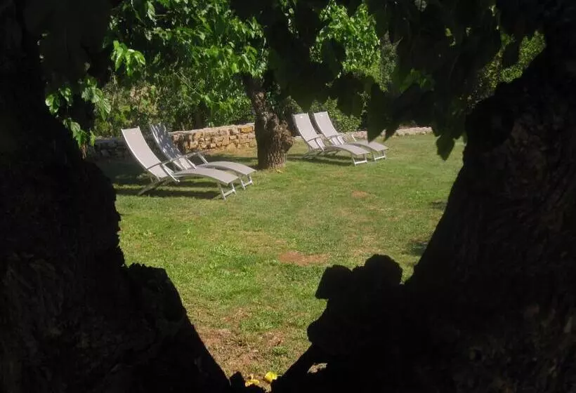 Bed and Breakfast Mas De La Garrigue