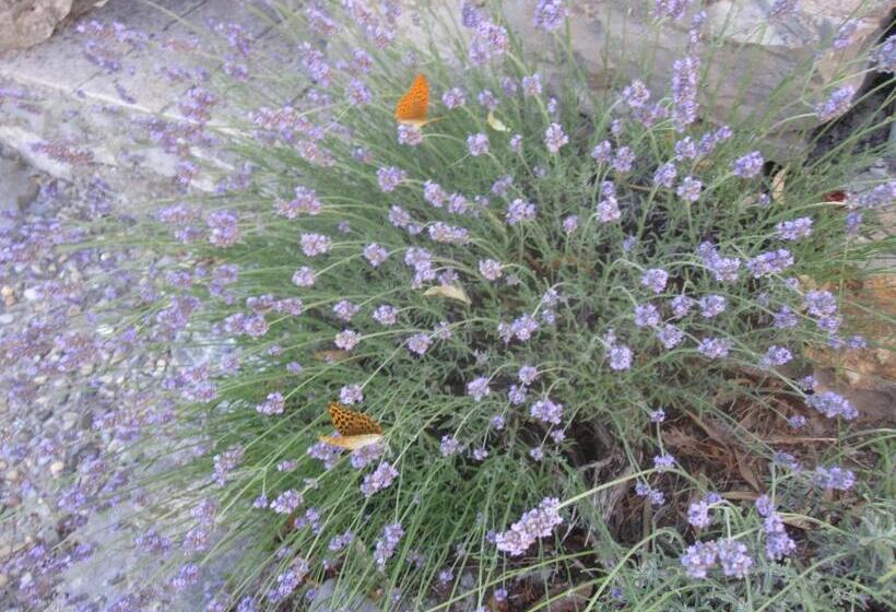 مبيت وإفطار Mas De La Garrigue