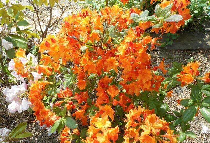 ベッドアンドブレックファースト Gîte La Charmaie