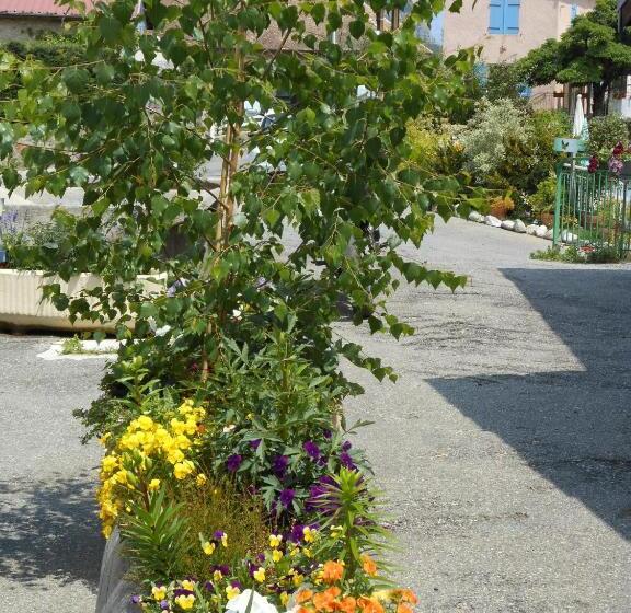 Bed and Breakfast Halte Dodo