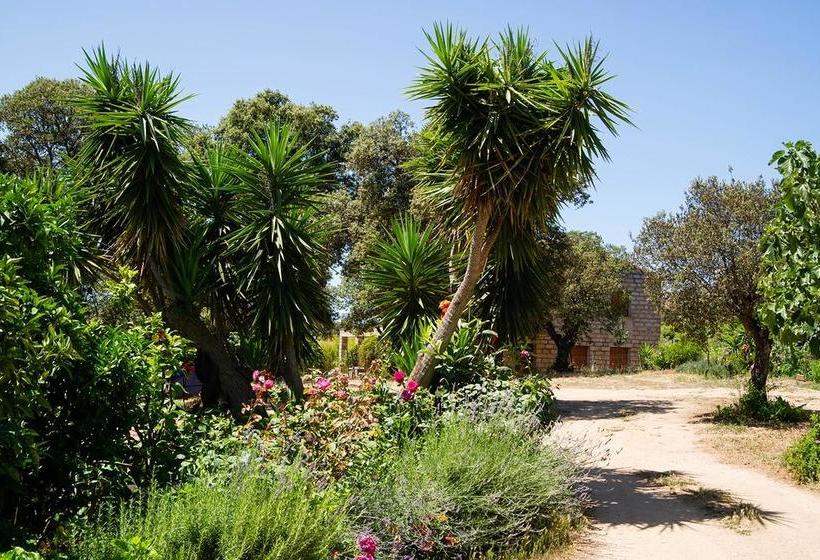 Bed and Breakfast I Casilari