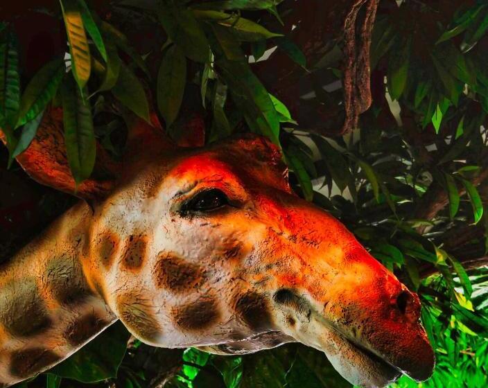 فندق Amicitia   Hôtel & Restaurant