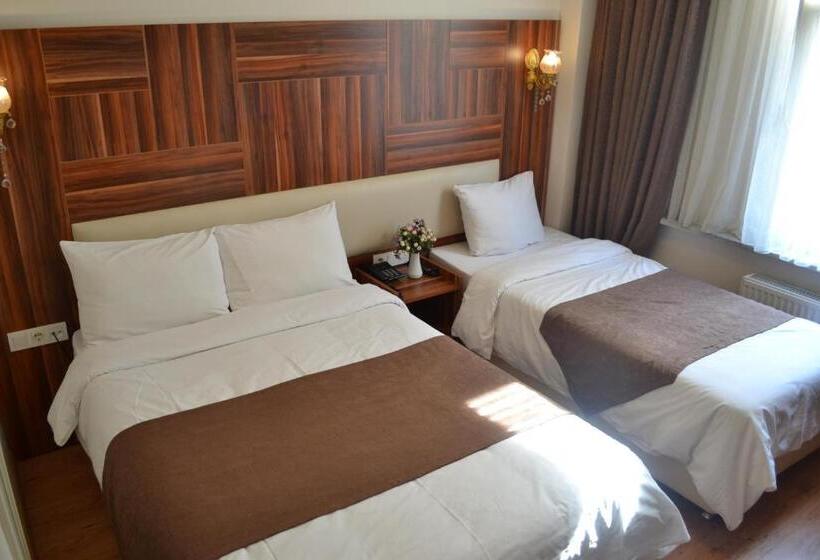 ホテル Grand Fatih