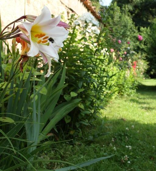 مبيت وإفطار Chambres D Hôtes Le Domaine De Stanislas