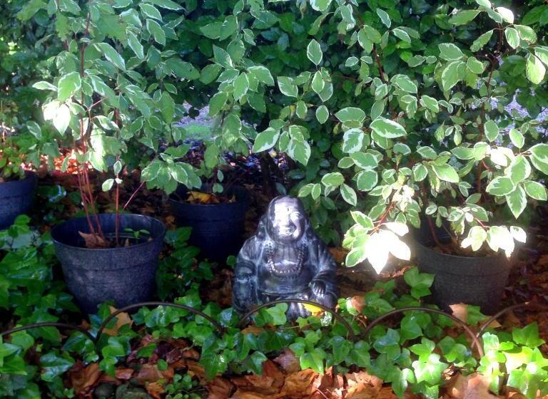 צימר Château Du Golf De La Freslonnière