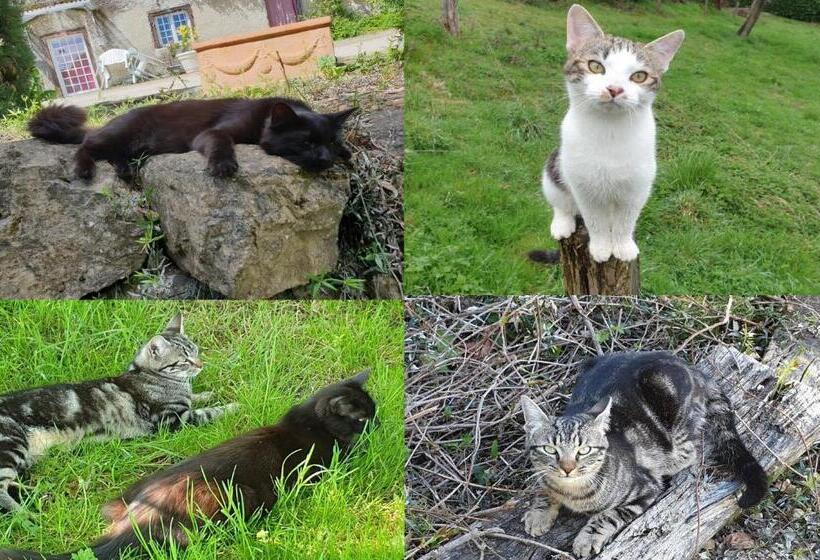 住宿加早餐  La Ferme De Jeanne