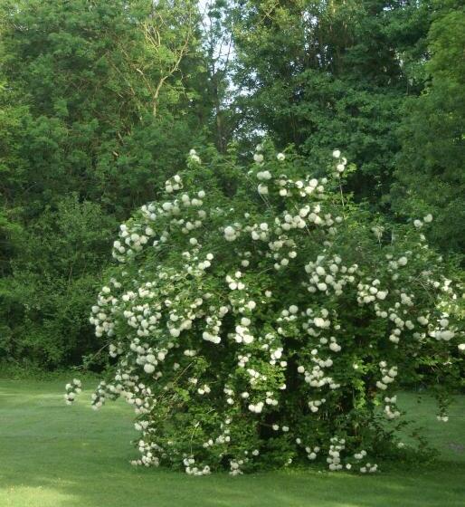 민박 Le Béguinage