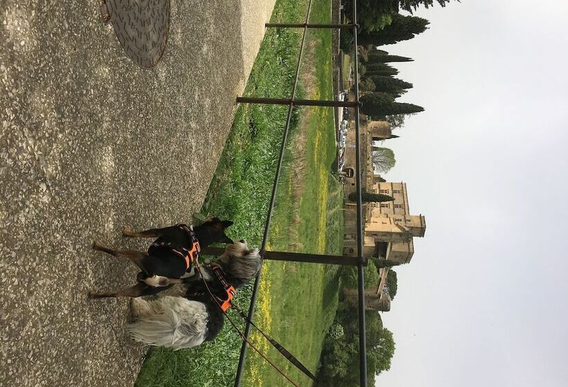 住宿加早餐  Le Mas Aux Arômes