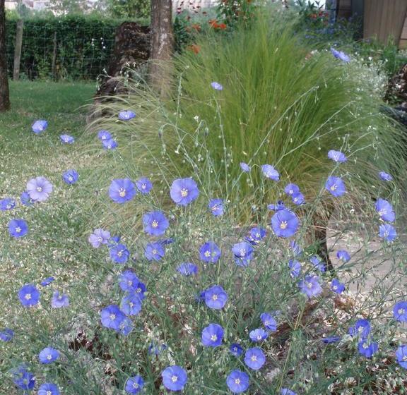 住宿加早餐  Le Sorbet