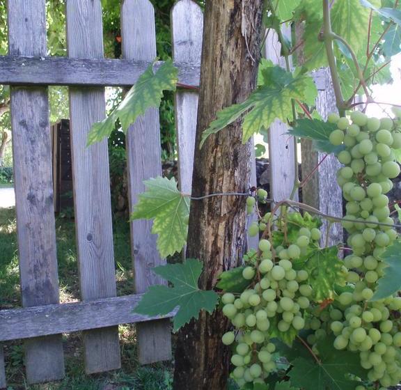 住宿加早餐  Le Sorbet