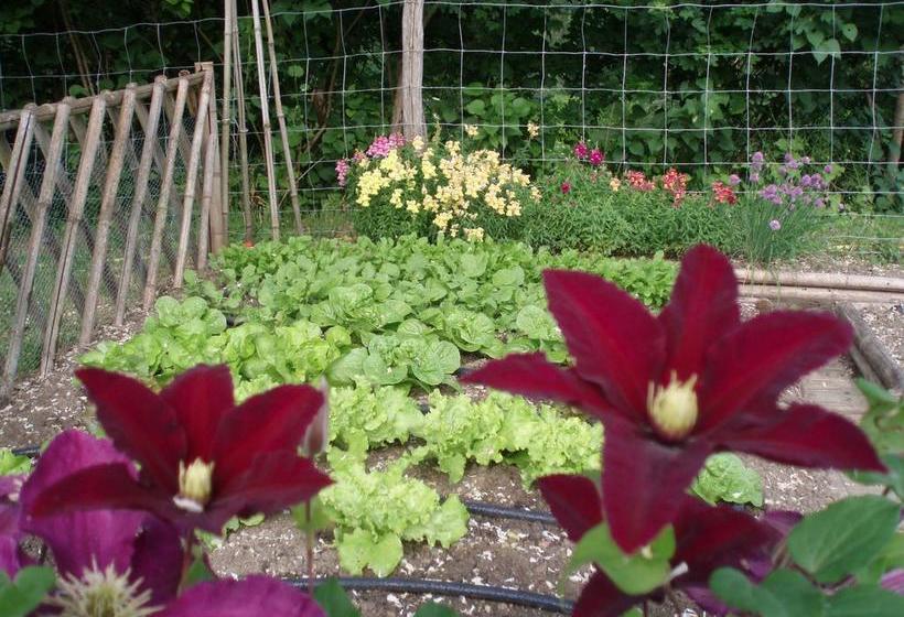 住宿加早餐  Le Sorbet