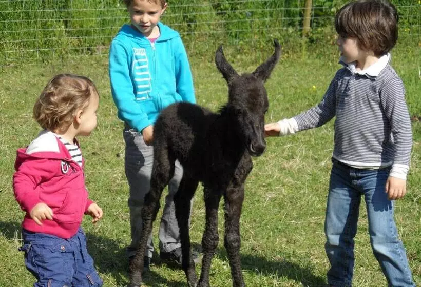 Aamiaismajoitus (B&B) Les Pieds Dans L Herbe