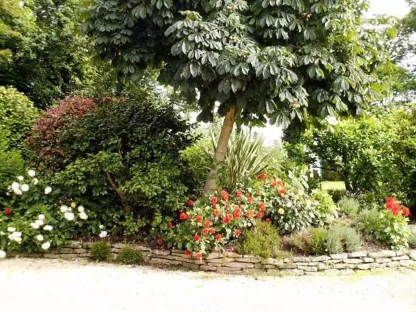 Aamiaismajoitus (B&B) Les Pieds Dans L Herbe