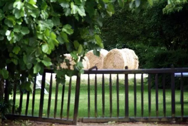 Aamiaismajoitus (B&B) Les Pieds Dans L Herbe
