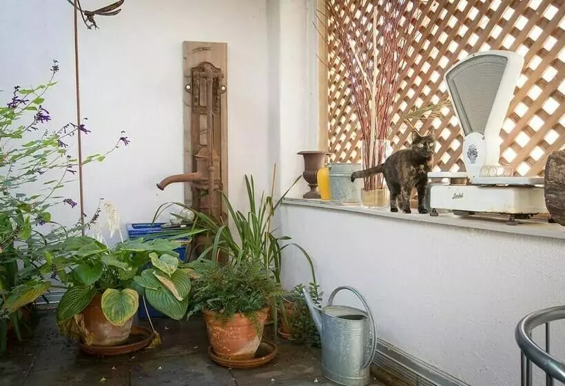 تختخواب و صبحانه Les Terrasses De La Maison Pago