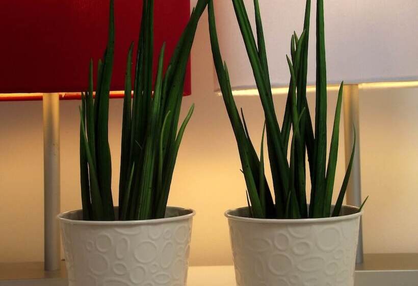 ベッドアンドブレックファースト Maison Aguerria