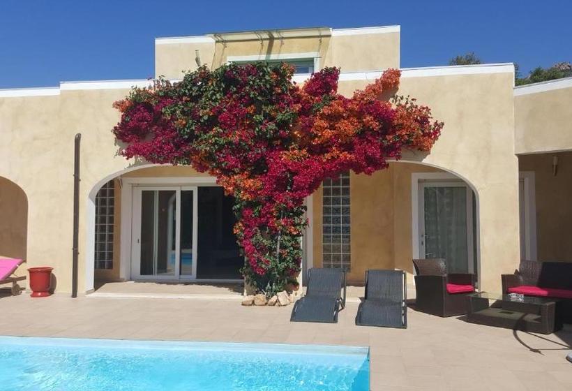 Cyrnea B&b Adults Only