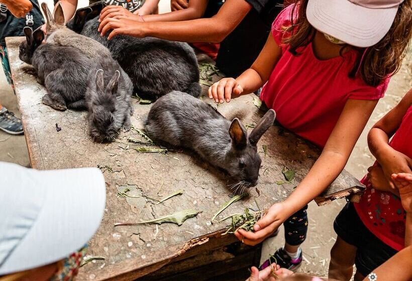 فندق Chalet Alpen Valley, Montblanc
