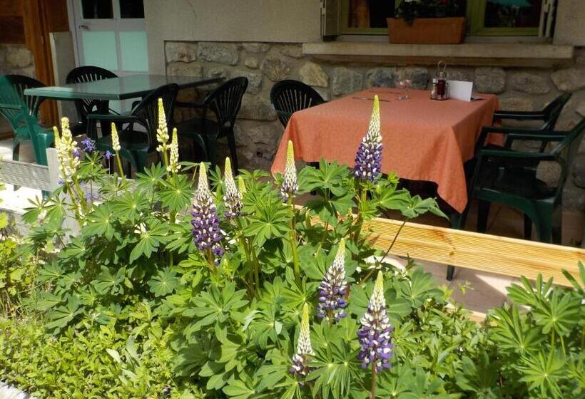 בית מלון כפרי Hôtel Engilberge