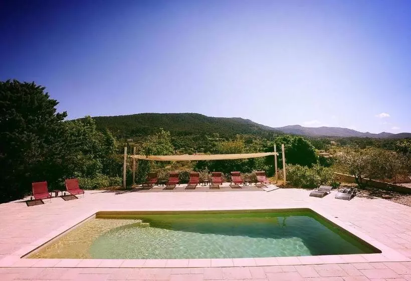 Bed and Breakfast Maison Alegria