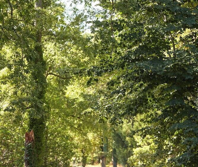 민박 Château Léognan   Bordeaux