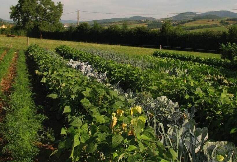 مبيت وإفطار La Ferme Du Chapi