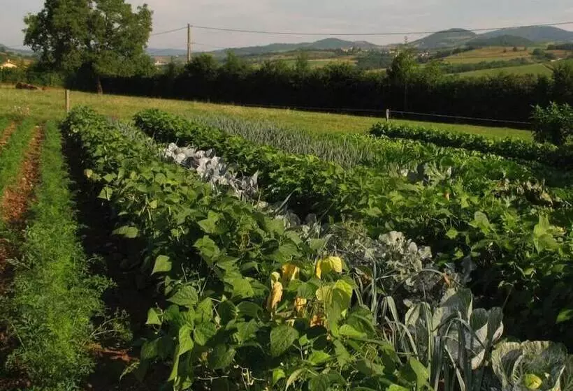 Bed and Breakfast La Ferme Du Chapi
