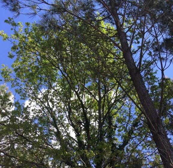 호텔 Au P Tit Creux Des Landes