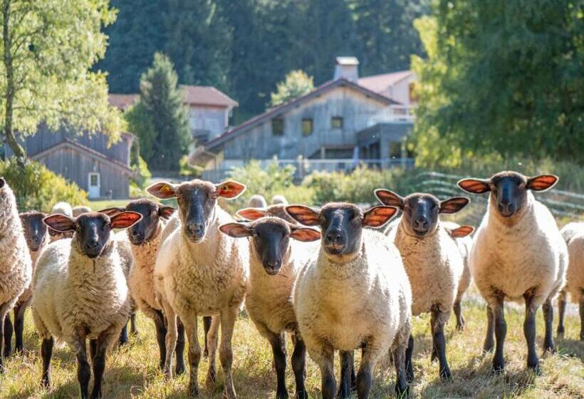 فندق Auberge De La Poulcière