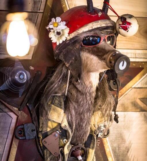 בית מלון כפרי Chamois Lodge