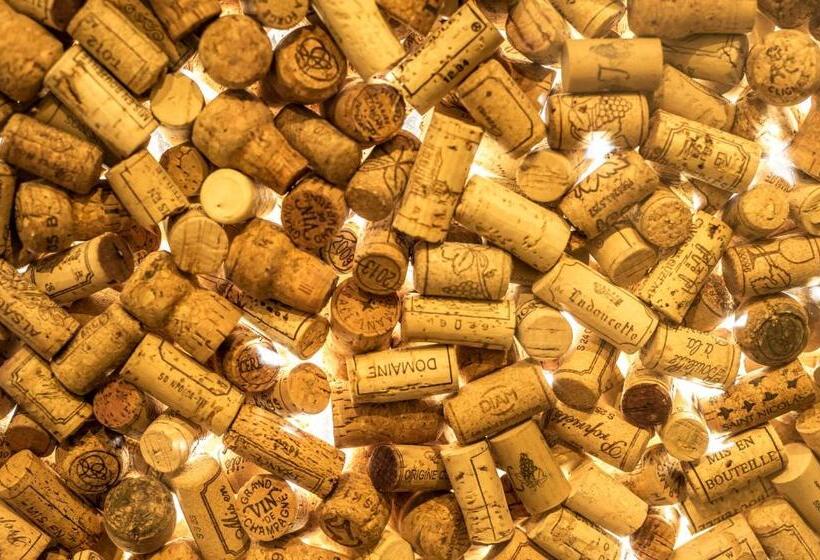 בית מלון כפרי Chamois Lodge