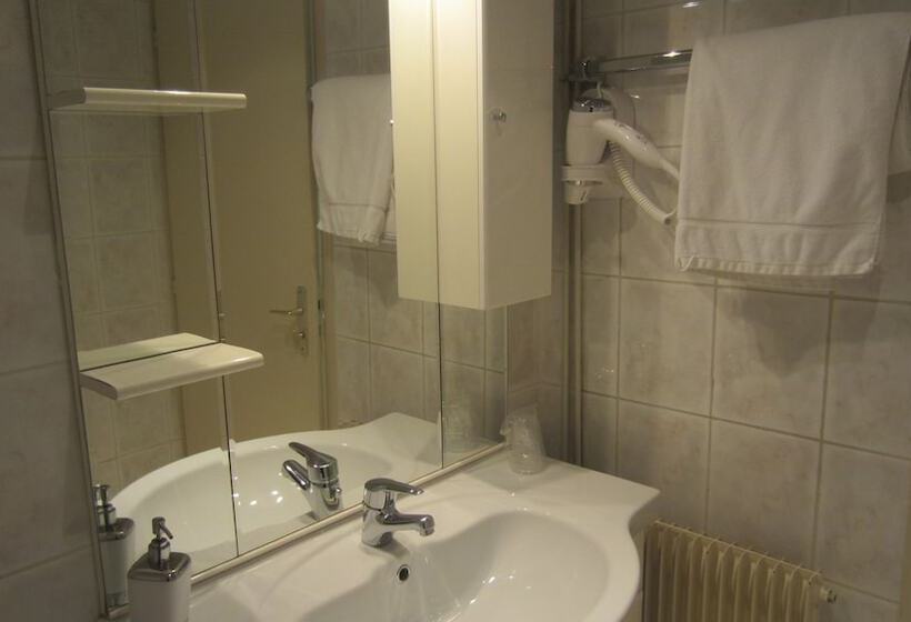 فندق Hôtel Café Du Palais