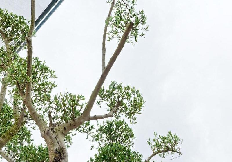 Hotelli Kyriad Direct Saint Brieuc   Parc Des Expositions