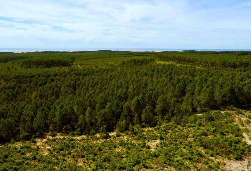 Отель La Maison De La Prade