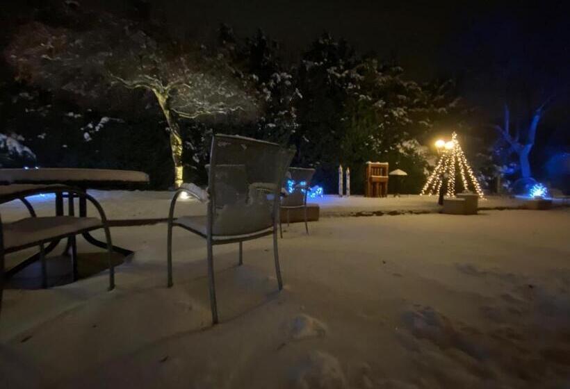 Le Rosenmeer   Hotel Restaurant, Au Coeur De La Route Des Vins D Alsace